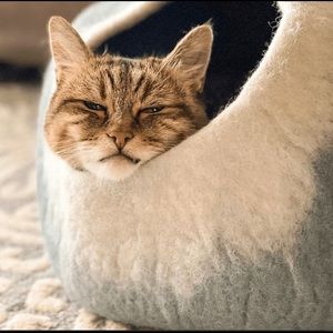 NWT Felted Gray/White Merlino Wool Cat Cave Bed